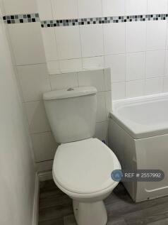 New Toilet