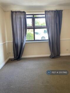 Lounge Windows - Lots Of Natural Light