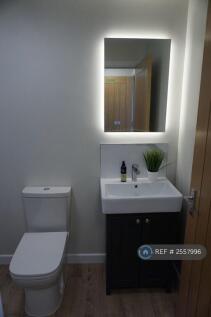 Illuminated And Heated Mirror