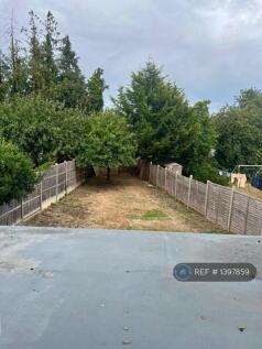Garden View From Upstairs