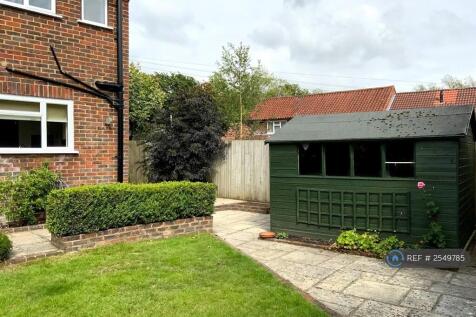 Back Garden