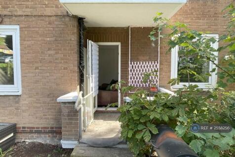 Rear Garden Again