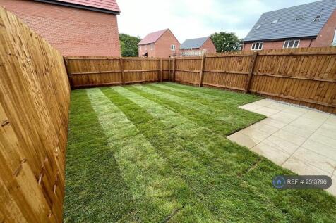 Back Garden