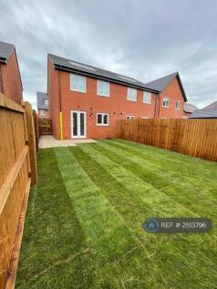 Back Garden