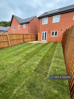 Back Garden
