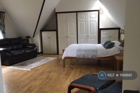 Main Living / Bedroom 