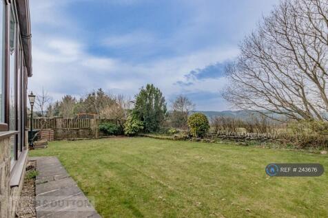 Back Garden