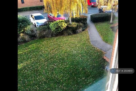 View From The Window 