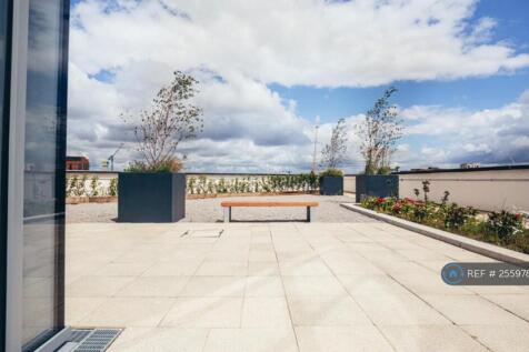 Roof Terrace
