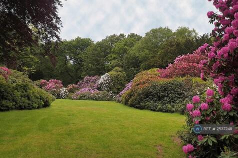 Rhododendron Garden