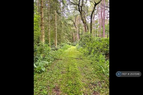 Woodland Walk