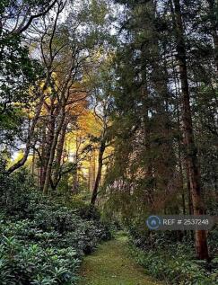 Woodland Walk