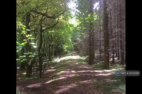 Woodland Walk