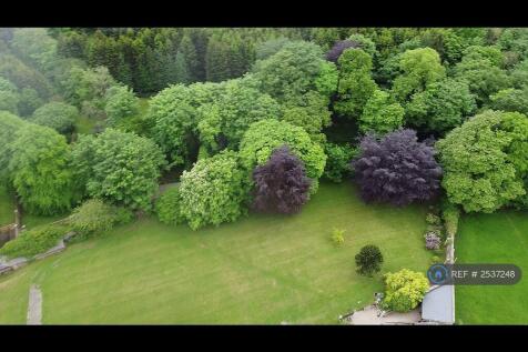 Woodland Aerial View