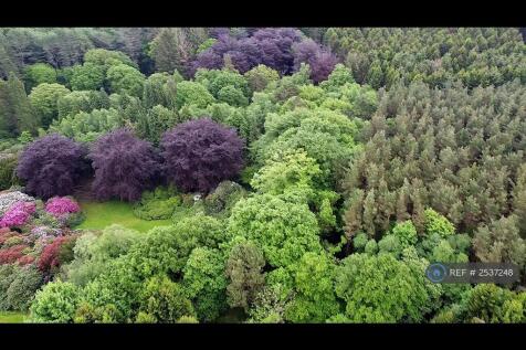 Woodland Aerial View