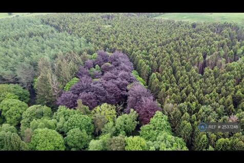 Woodland Aerial View