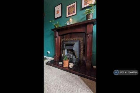 Living Room Fireplace (Decorative - Not In Use) 