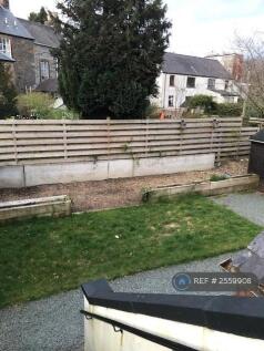 Back Garden