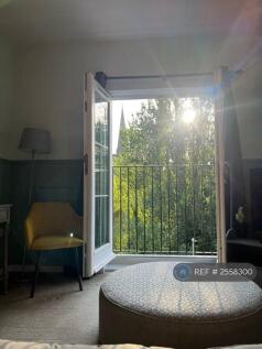 View From Patio Doors 