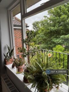 View From Sitting Room