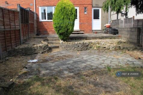 Back Garden