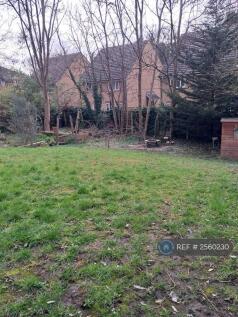 Garden More