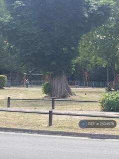 Playground, Across The Road