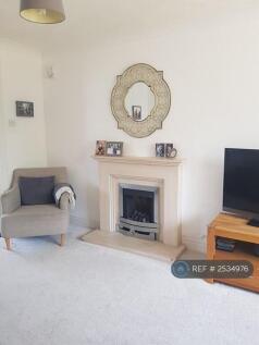 Living Room, Working Gas Fire