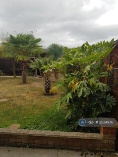 Garden, Mature Trees/Paved Area/Shed