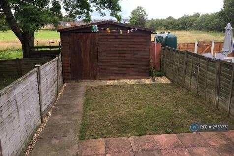Back Garden