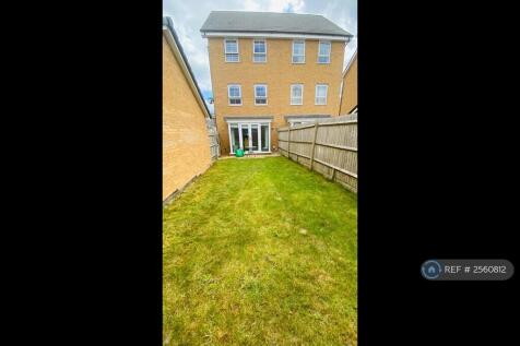 Back Garden
