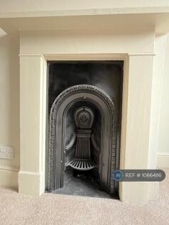 Feature Fireplace