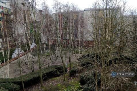 Back Garden