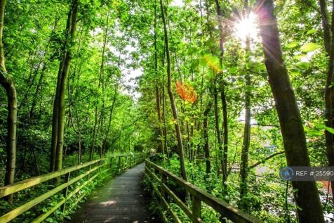 Ecological Park