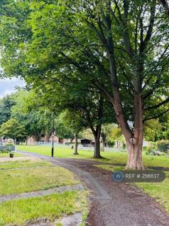 Area In Front Of Property