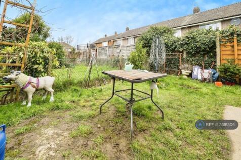 Back Garden
