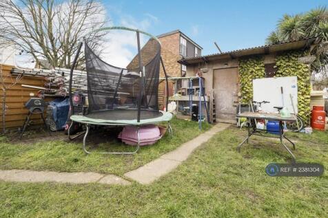 Back Garden