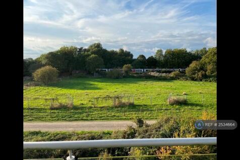 View From Balcony
