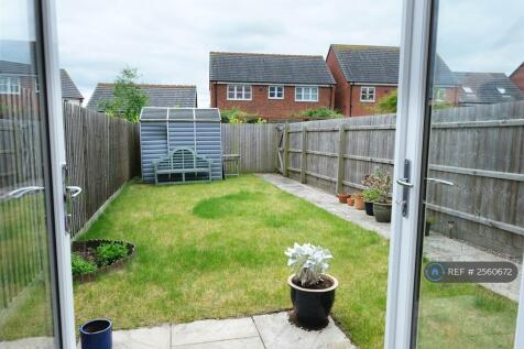 Back Garden