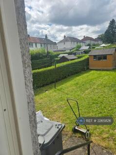 Back Garden 
