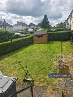 Back Garden 