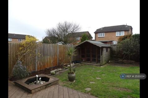 Back Garden