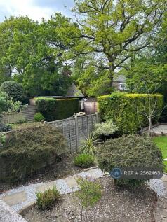 Back Garden