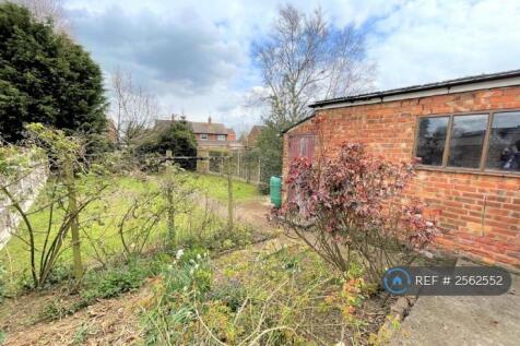 Back Garden