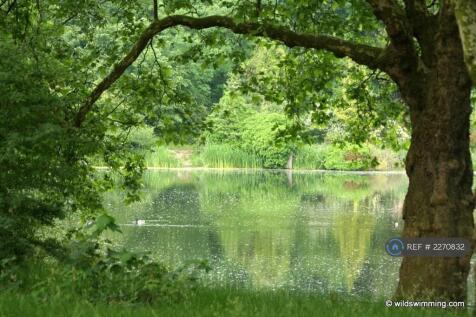 Hampstead Heath Swimming Ponds