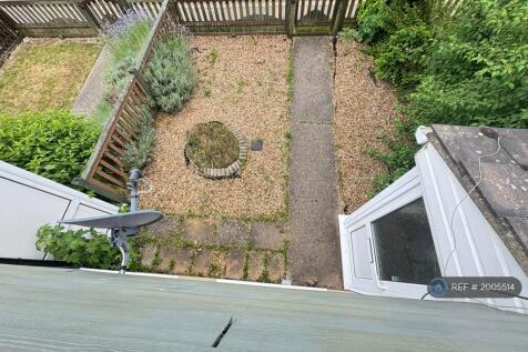 Back Garden