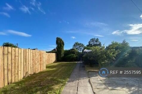 Back Garden