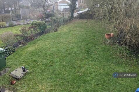 Garden 1