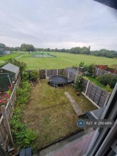Back Garden