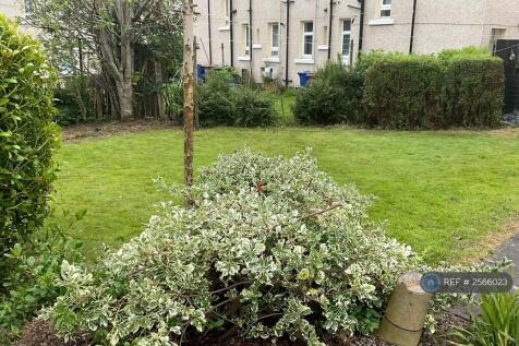 Back Garden